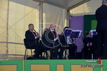Concierto de la Banda Municipal y Feria de Artesanía en Los Llanos de Telde (Foto Francisco Javier Santana y TA)